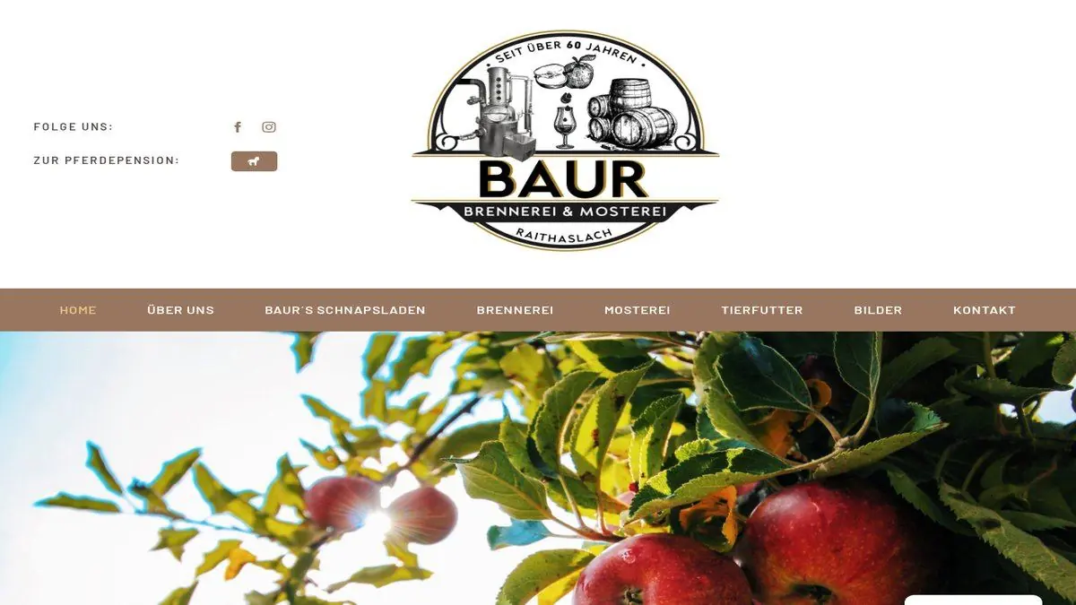 Baur Raithaslach – Webdesign, Webentwicklung