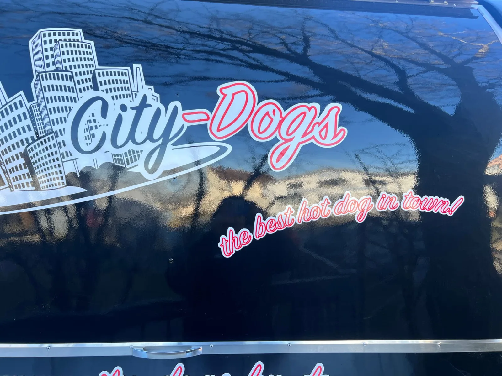 City-Dogs – Bild 5