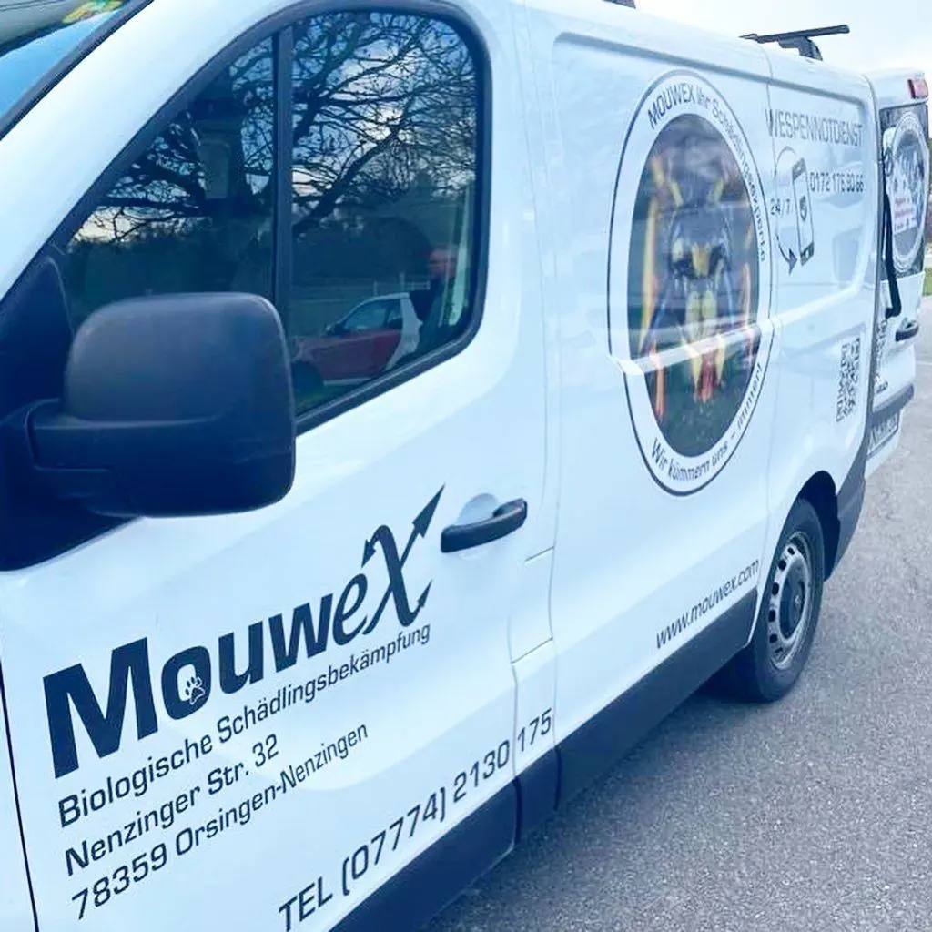 MouweX Schädlingsbekämpfung – Bild 1